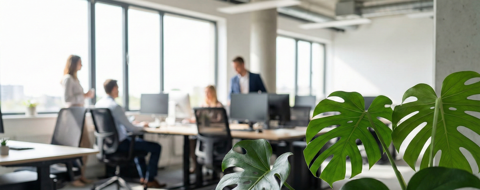 FRONT OFFICE E ORGANIZZAZIONE 